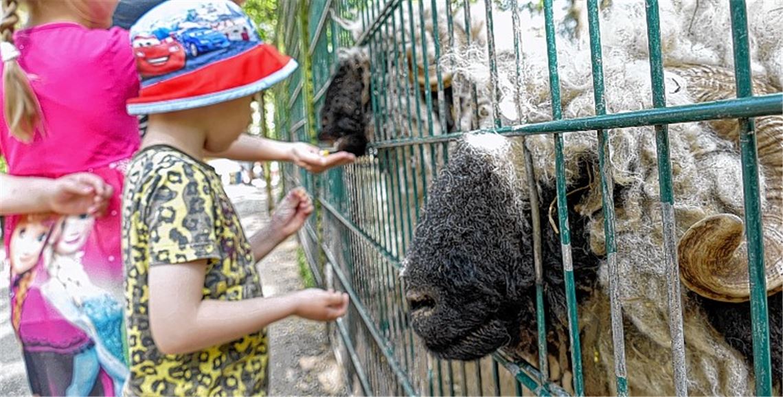 Wildpark feiert seinen 50. Geburtstag
