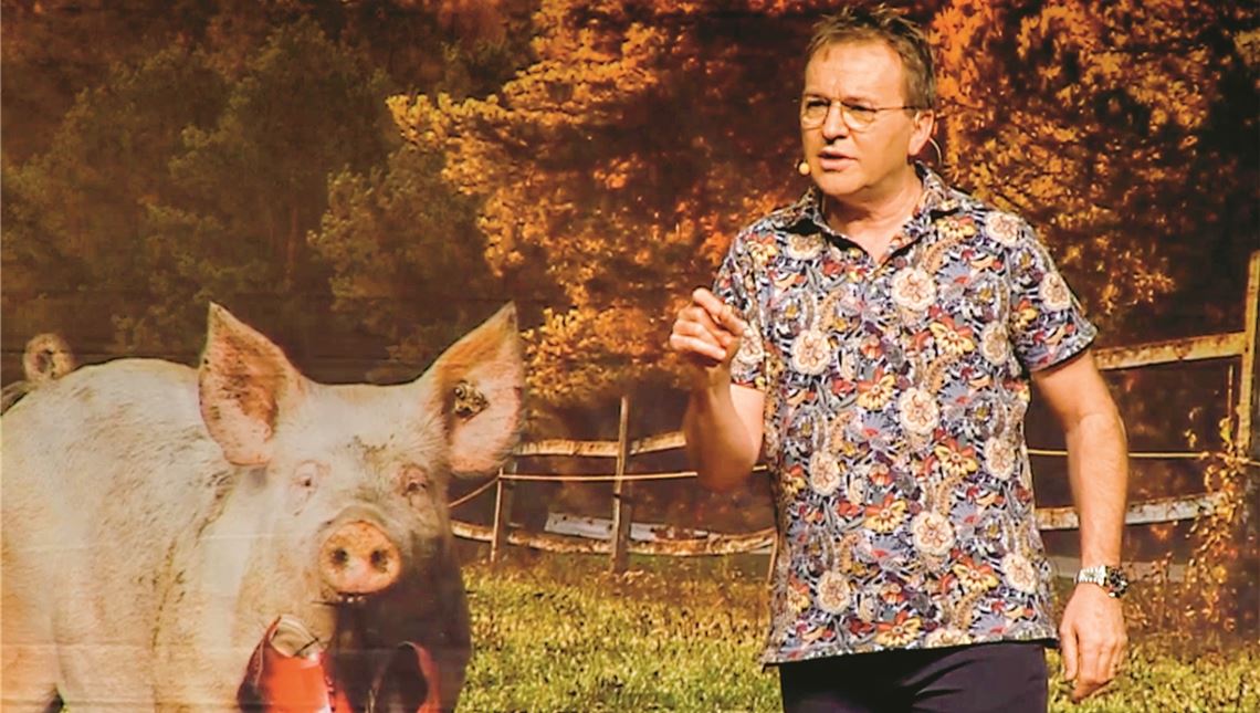Alltagsszenen anders betrachtet Schwein gehabt: Heinrich del Core im Uhlandbau. Foto: Screenshot
