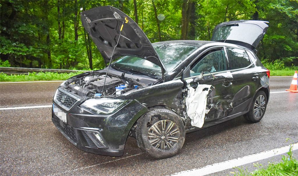 Schwer beschädigt wird der Seat bei dem Unfall. Fotos: Myroshnichenko