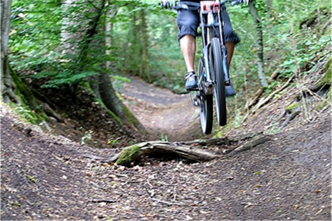 Schwierige Suche: Für eine Mountainbike-Strecke bei Mühlacker ist noch kein geeigneter Bereich gefunden worden.Archivfoto: Eier