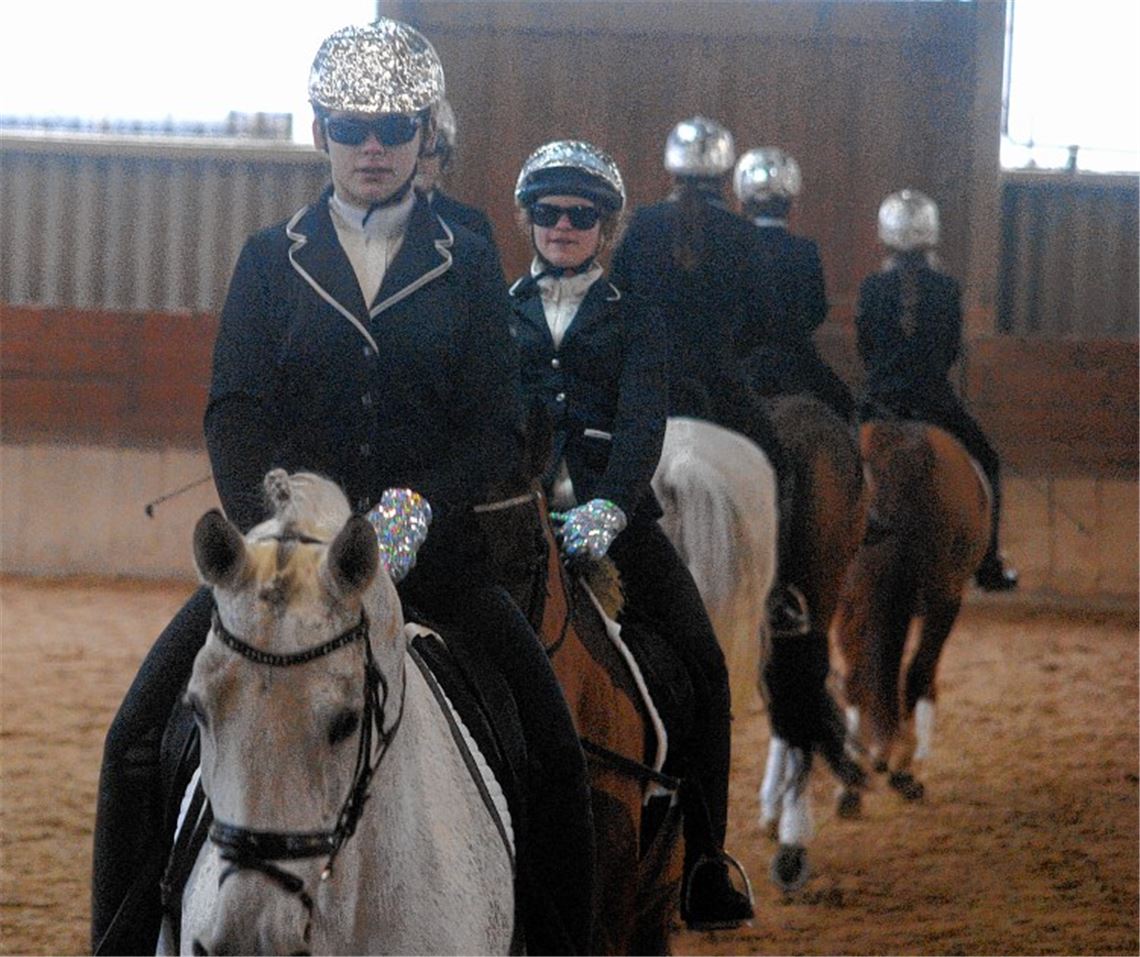 Dressur zu Michael Jackson