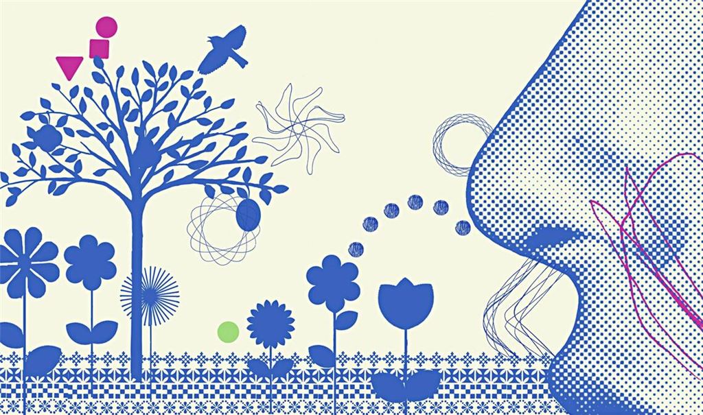 Seit Jahrtausenden verwenden Menschen Räucherwerk aus getrockneten Pflanzenteilen und Harzen zur rituellen oder medizinischen Reinigung.