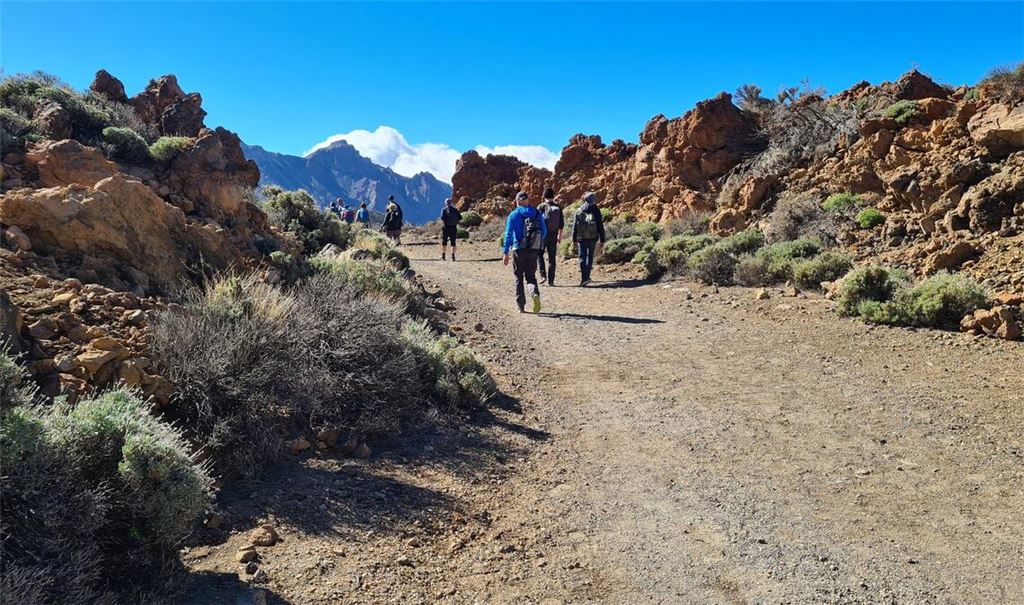 Seit Sommer 2022 wurde ein junger Backpacker aus Niedersachsen auf Teneriffa vermisst, der dort zum Wandern war - nun wurde sein Tod bestätigt. (Symbolbild)
