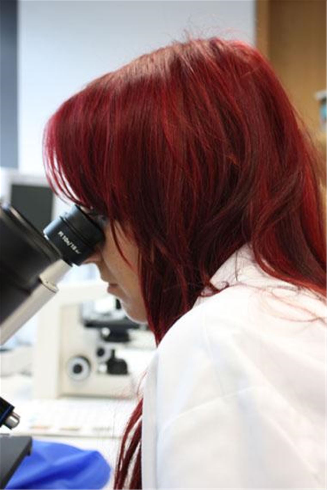 Selektion künftig am Mikroskop ? Die Debatte über Präimplantationsdiagnostik reicht bis in die Fundamente der ethischen Wertvorstellungen.  Foto: Martin Gapa/www.pixelio.de