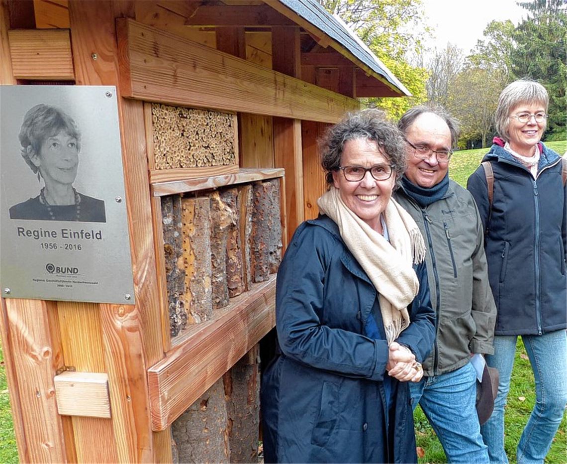 Bleibe für Wildbienen