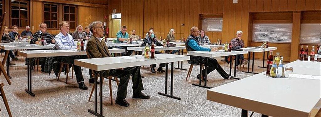 Demokratie in Zeiten von Corona