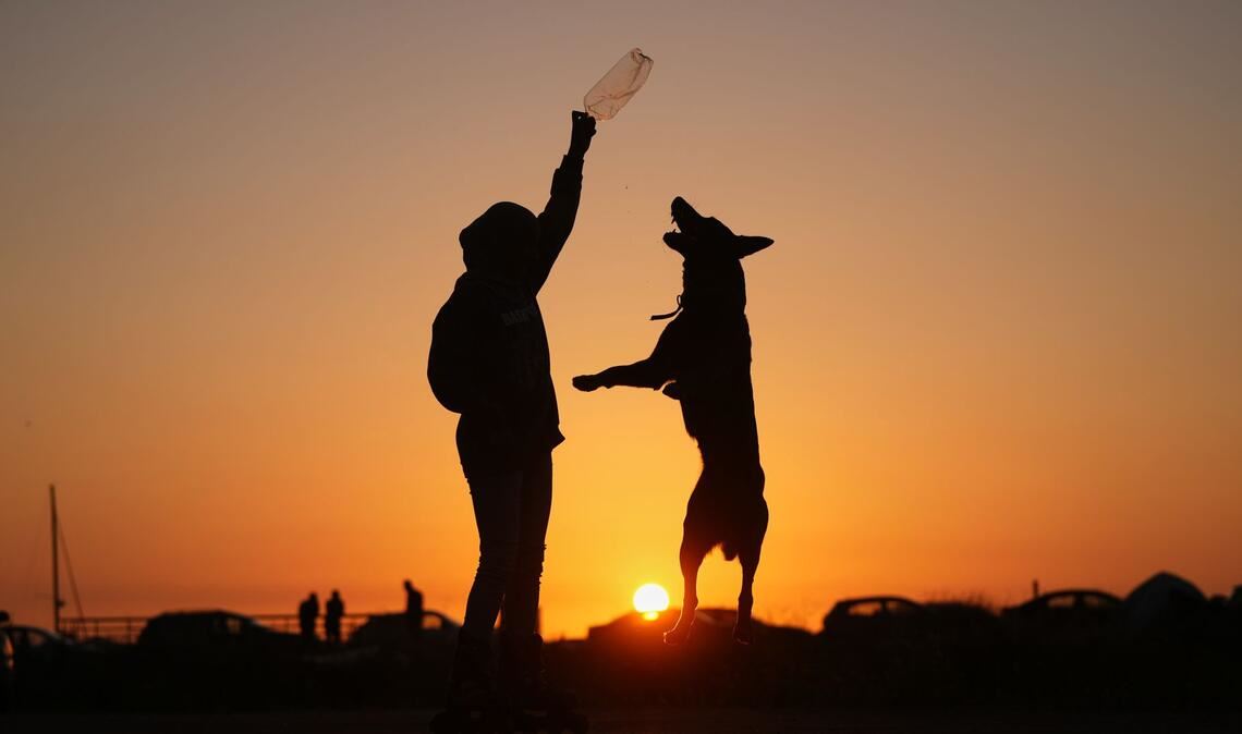 Sidra Mohamad Saadeh, 13, die durch israelische Luftangriffe in Dahija, den südlichen Vororten Beiruts, vertrieben wurde, spielt bei Sonnenuntergang mit einem Hund namens Rocky auf einem öffentlichen Platz an der Beiruter Uferpromenade.
