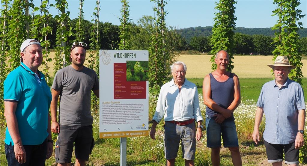 Sie hatten in der warmen Jahreszeit Grund zum Strahlen: Im Lienzinger Hopfenschaugarten konnte trotz Corona gearbeitet werden. Archivfoto: Müller