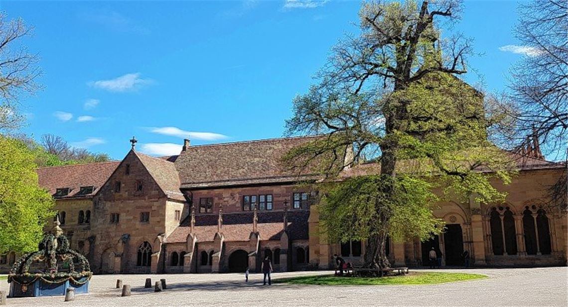 Friedenslinde soll geklont werden