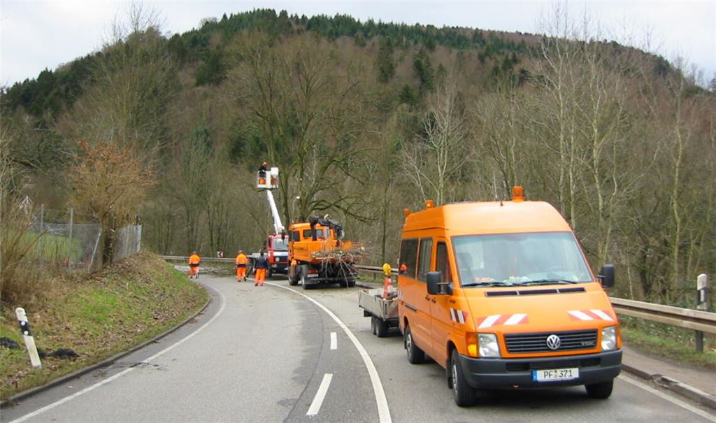 Sie schneiden, wie das Landratsamt betont, nicht einfach planlos drauflos, sondern jeweils aus gutem Grund und sehr gezielt: Die Mitarbeiter der Straßenmeisterei, die für die Pflege des Grüns an den Kreis- und Landesstraßen verantwortlich sind. Foto: Enzkreis/Elwert