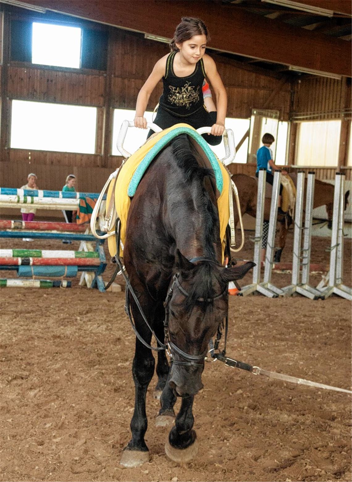 Sieht schon ganz gut aus.