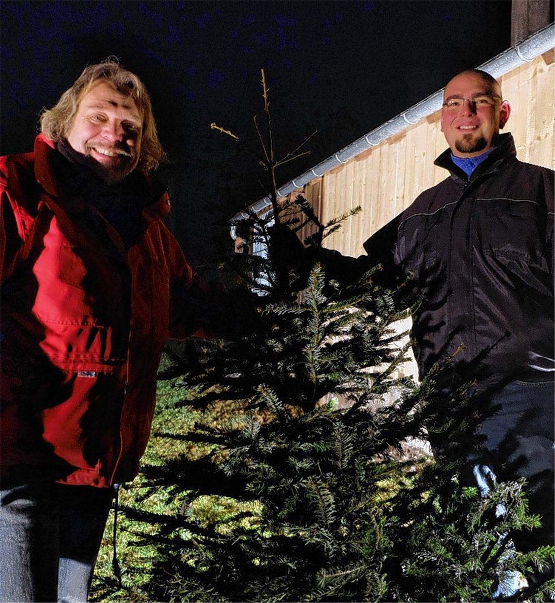 Tannenbäume im Tiefflug