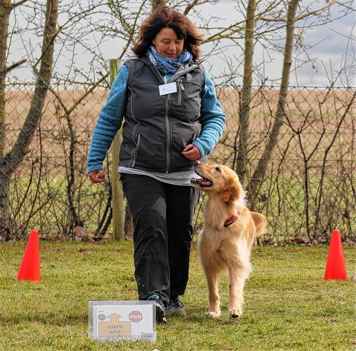 Silvia Hein führt ihren Golden Retriever Dori gelassen durch den Parcours.