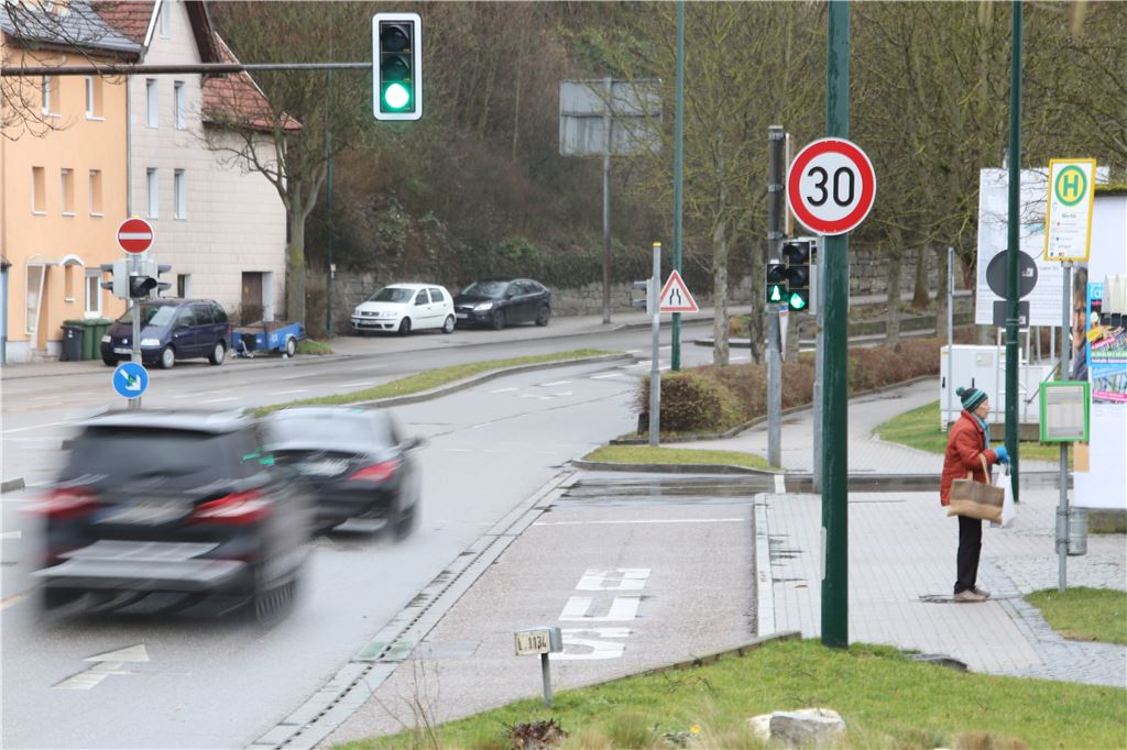 lh Tempo 30 Enzstraße (1)
