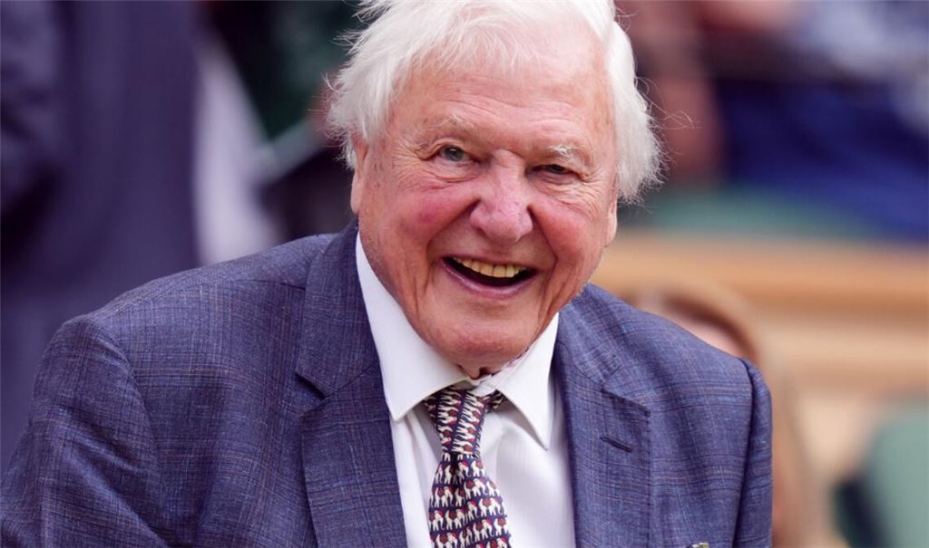 Sir David Attenborough wird 100 Jahre alt.