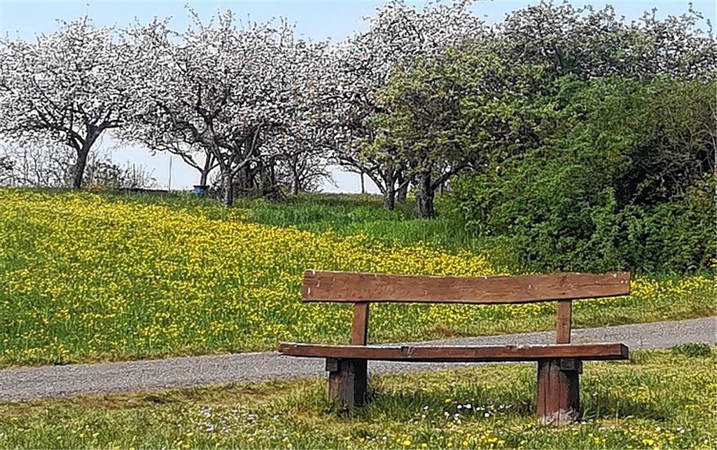 Frühlingsgefühle
