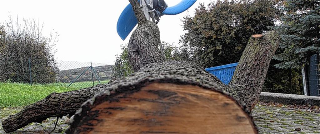 Skulptur oder Vesperbrettle? Auf dem Gelände der Lomersheimer Kläranlage wartet der Stamm des Birnbaums auf seine weitere Verwendung.