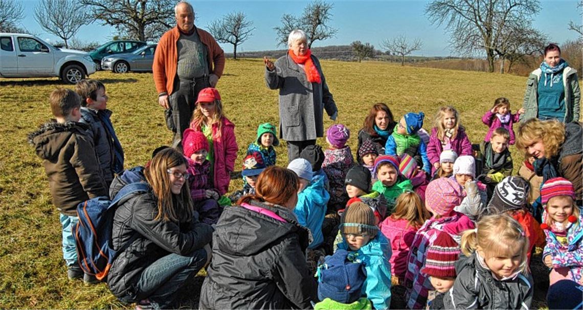 So drängen sich die Schafe zusammen, um sich in kalten Nächten zu wärmen: Während die Tiere Abstand halten, erfahren die Knittlinger Kindergartenkinder einiges über ihre Lebensweise.