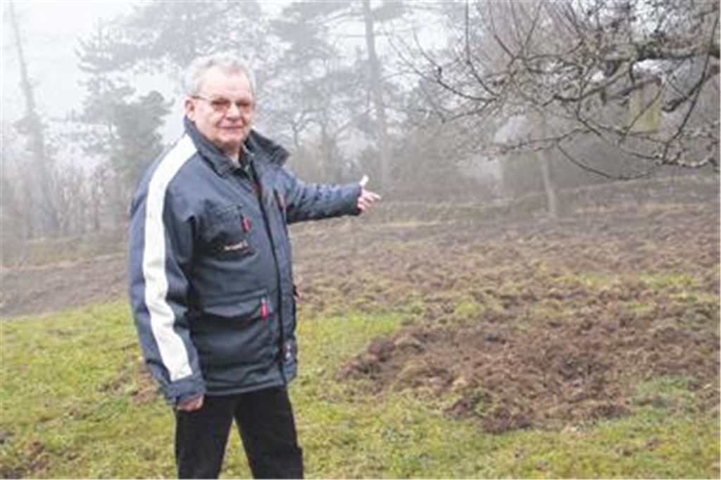 So haben die Wildschweine mein Grundstück zugerichtet: Der Enzberger Hartmut Zoller zeigt auf seine von den Schwarzkitteln umgepflügte Fläche im Burgfeld. Foto: Sadler