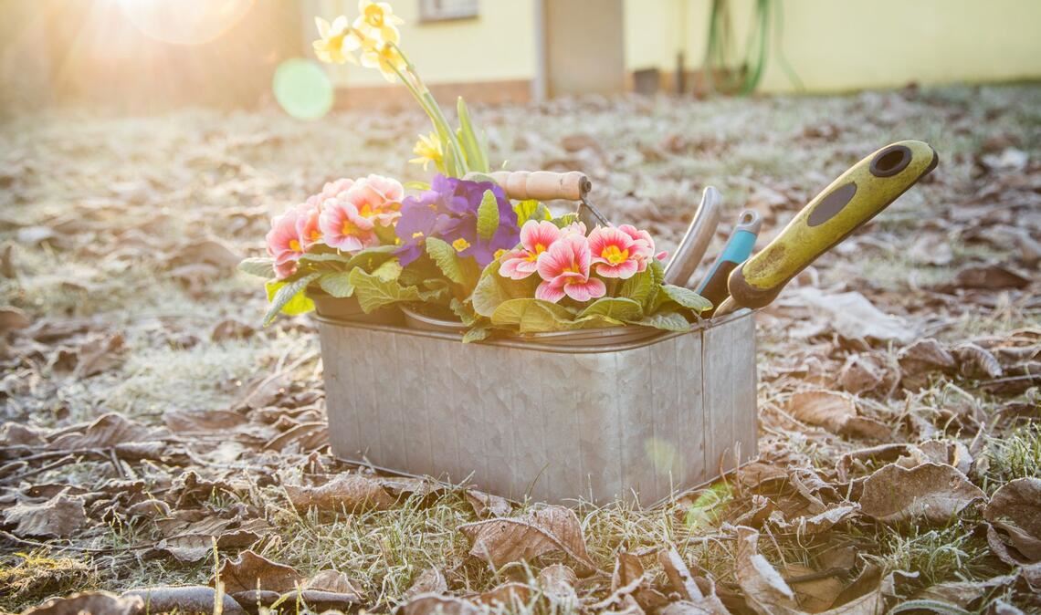 So können die Eisheiligen im Frühjahr zuschlagen. Doch angesichts des Klimawandels wird das in hiesigen Breiten immer unwahrscheinlicher.