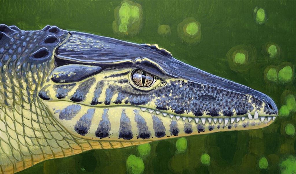 So könnte das landlebende Krokodil Doratodon carcharidens vor 85 Millionen Jahren ausgesehen haben. Anders als zuvor gedacht kam es jedoch nicht aus Gondwana.