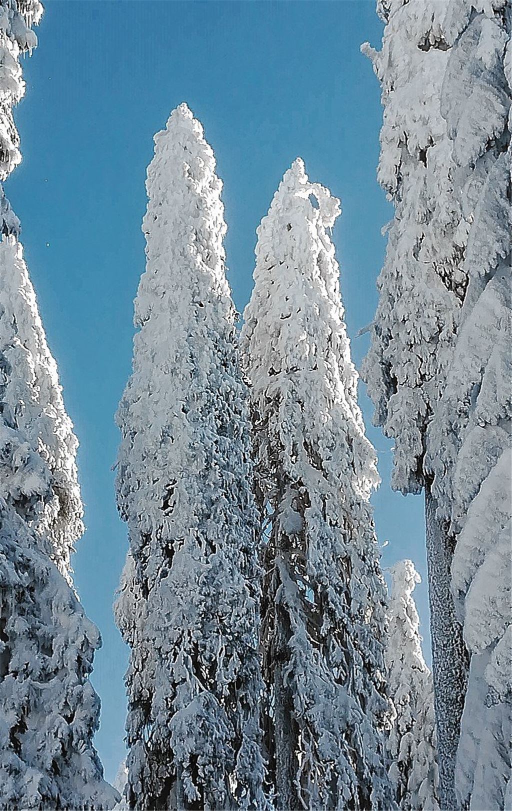 Winterzeit