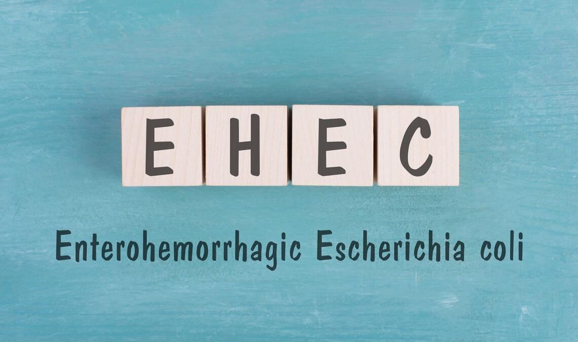 So wird EHEC übertragen.
