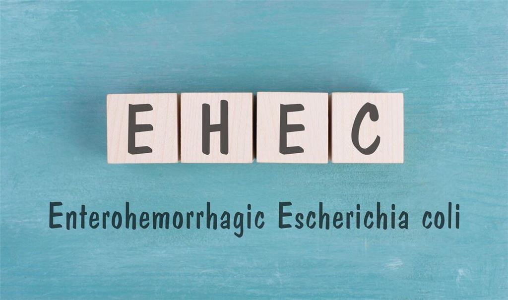 So wird EHEC übertragen.