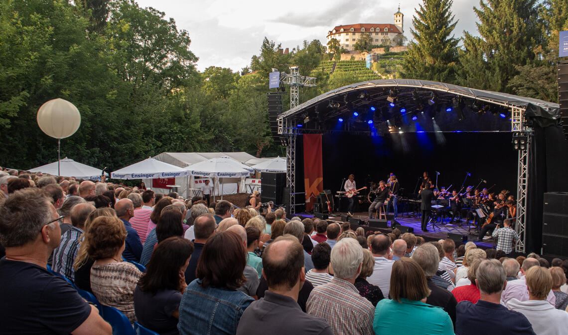 Solche Bilder mit vollen Rängen am Enzufer und Blick aufs Schloss wird es in Vaihingen vorerst nicht mehr geben. Foto: Arning