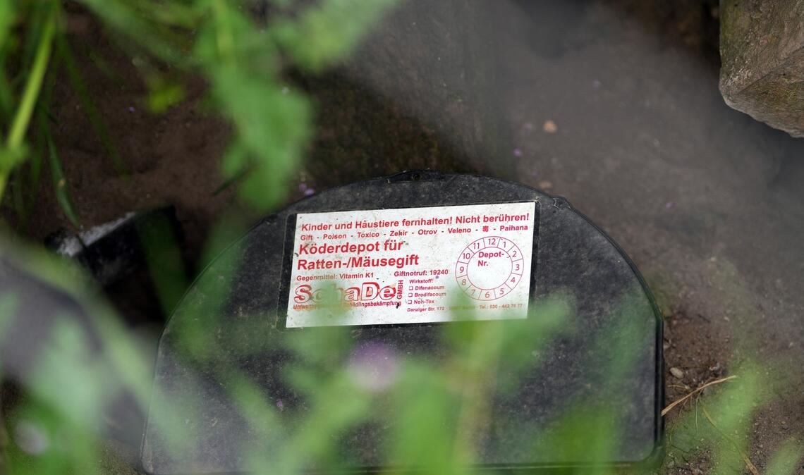 Solche Köder-Fallen helfen bei der Rattenbekämpfung.