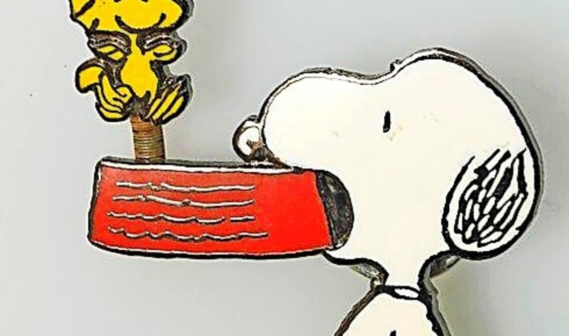 Solche Snoopy-Anstecker sind  in der Beute zahlreich vorhanden.