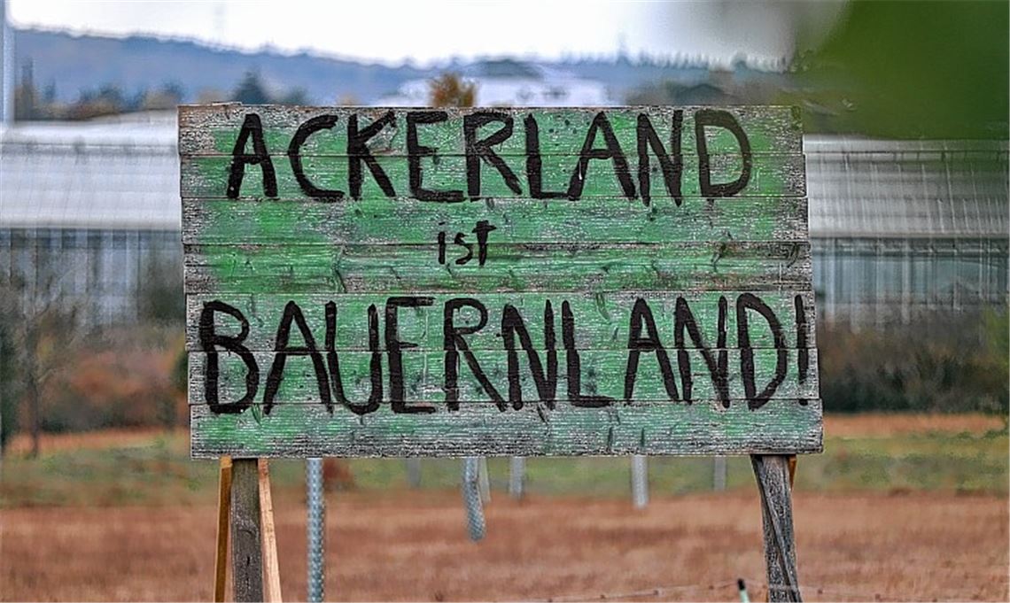 Soll Mühlacker ein neues, rund 25 Hektar großes Gewerbe- und Industriegebiet ausweisen? Diese Frage beschert der Stadt 2016 ihren ersten Bürgerentscheid.Archiv