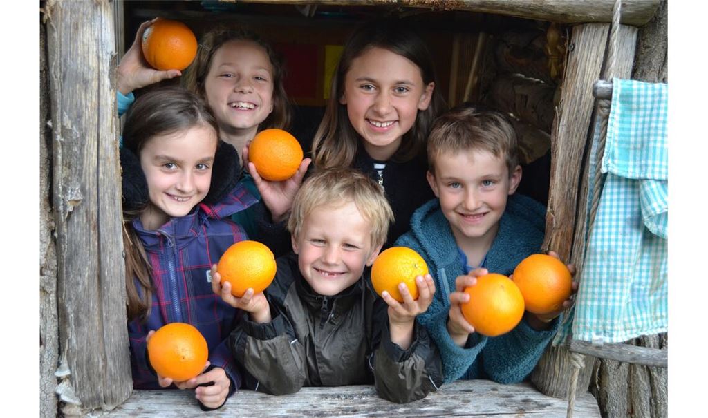 Sollen für lachende Gesichter sorgen: Bio-Orangen aus Sizilien. Foto: privat