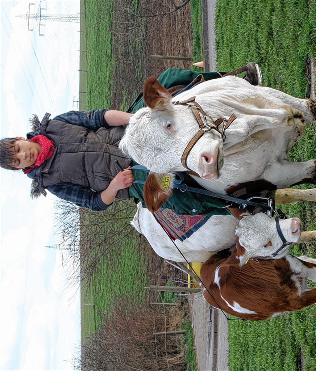 Sonja Keller auf Kuh „Melina“, daneben das Kälbchen „Miri“. Foto: Rall