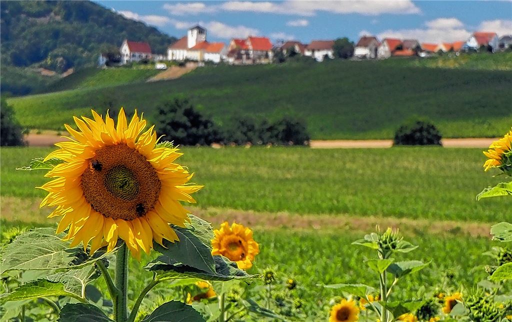 Sommerzeit