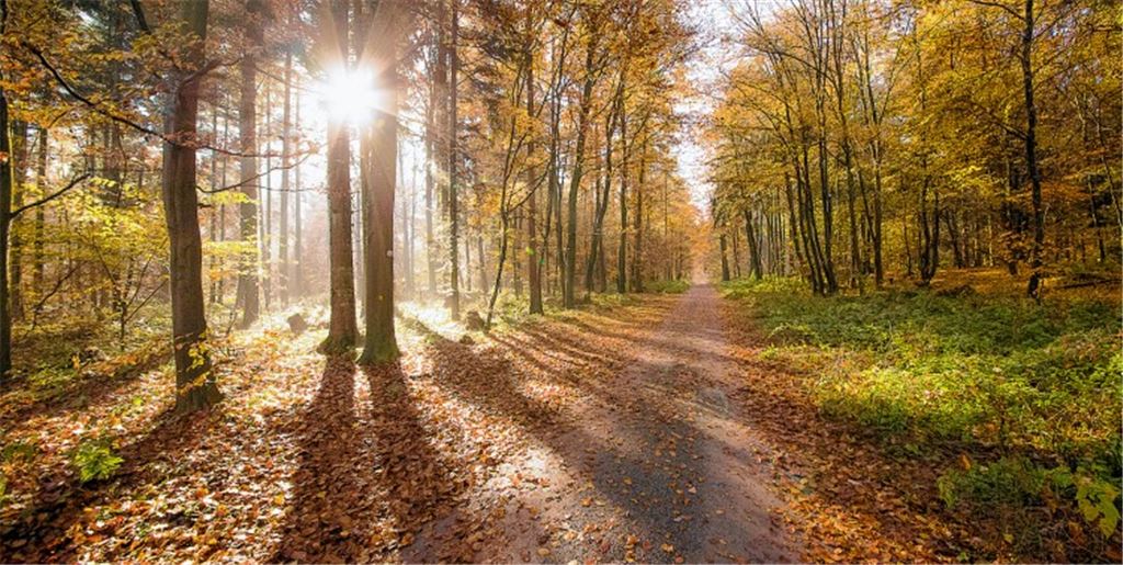Herbstfarben