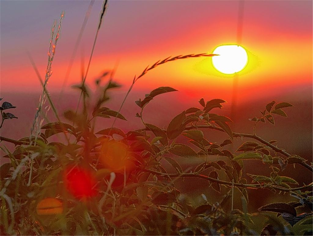 Sommerzeit