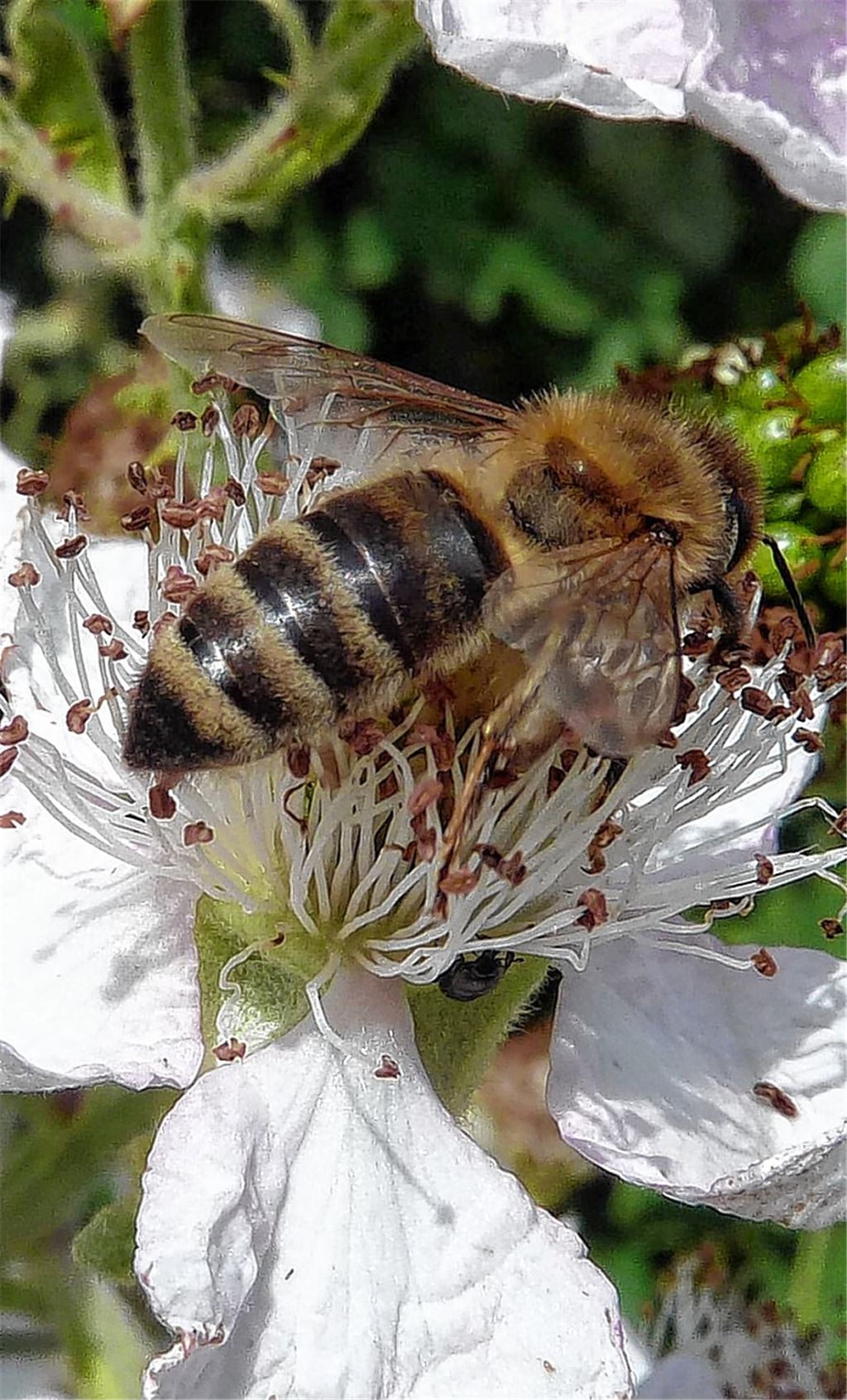 Tierische Spurensuchen