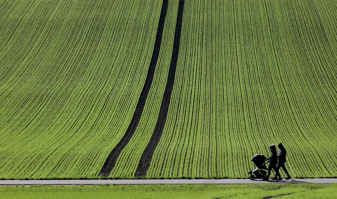 Bilder des Tages Spaziergänger gehen im Sonnenschein an einem frisch bestellten Feld in Baden-Württemberg vorbei.