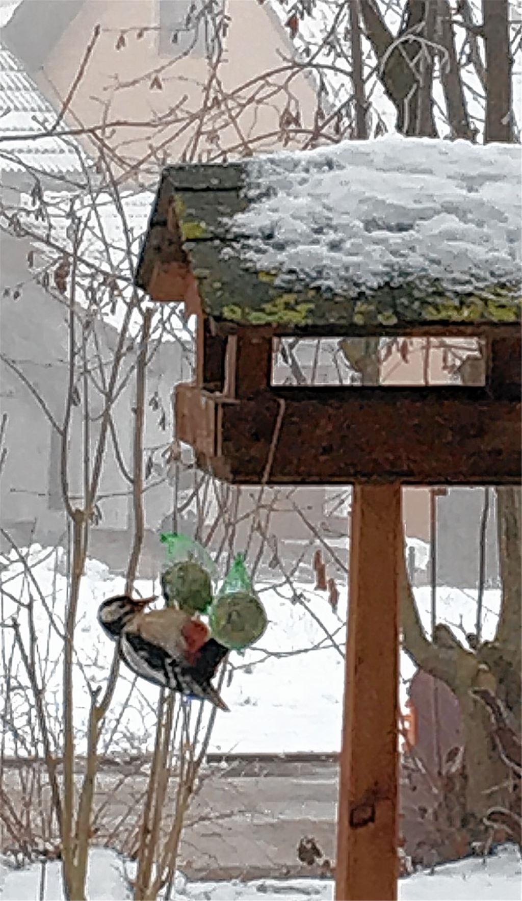 Winterbilder