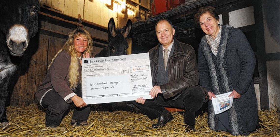 Spende an den Gnadenhof