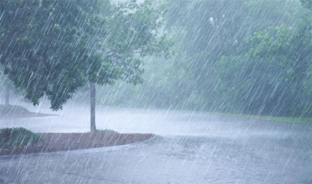 Sprache in Wetterberichten: Was ist der Unterschied zwischen Regen und Schauer?