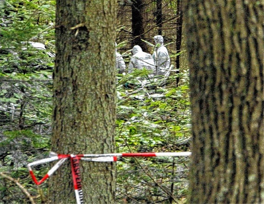 Antragsflut im Paulus-Prozess