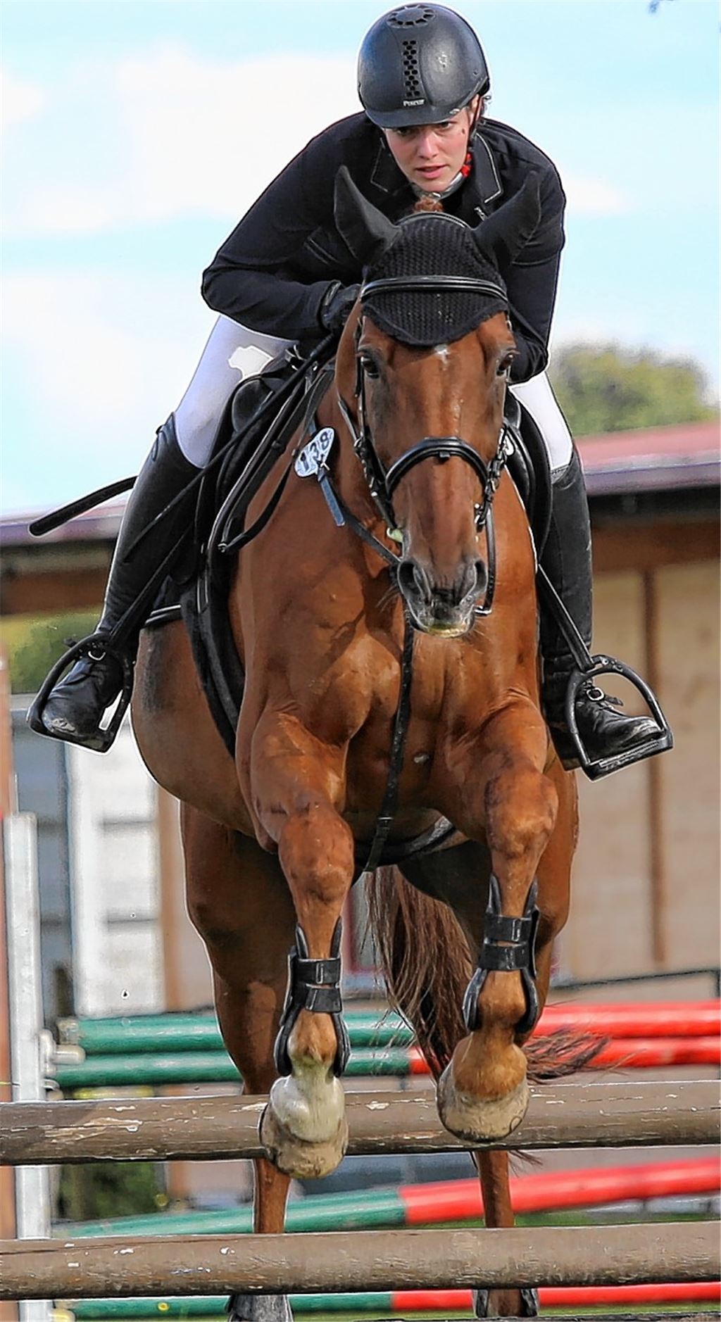 Mühlacker Reiter feiern Erfolgsserie in Maulbronn
