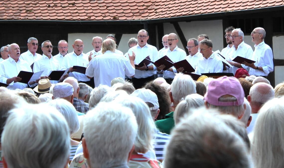 Starkes Konzert in stimmungsvoller Kulisse: der MGV Lienzingen singt bei seiner Serenade in der Kirchenburg. Foto: privat