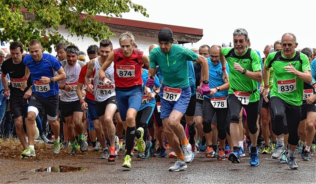 SFG freut sich über Rekordteilnahme