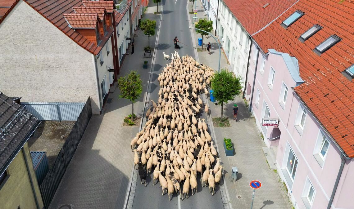 Start ins Hirtenjahr