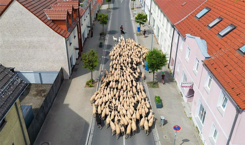 Start ins Hirtenjahr