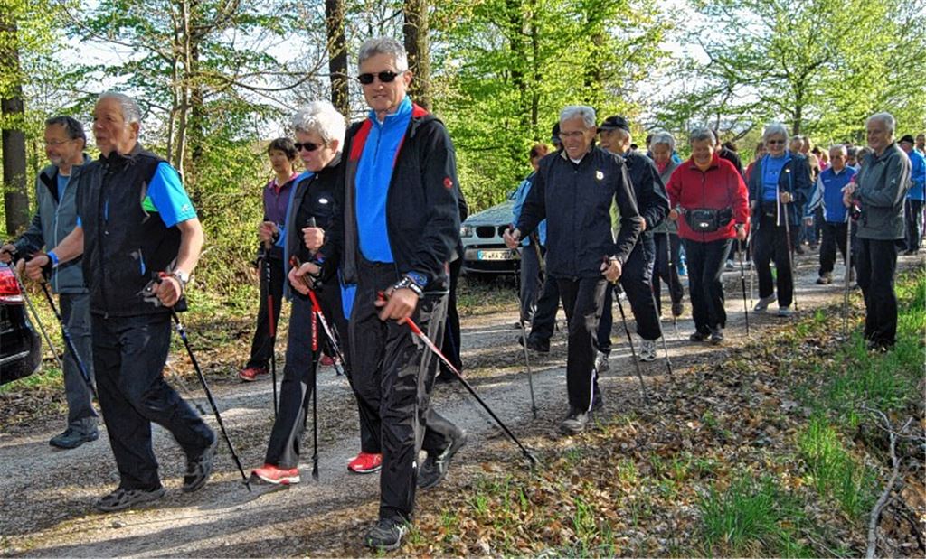 Start zum zehnten Frühstückslauf beim TV Hohenklingen am Sonntagvormittag. Mehr als 120 Walker setzen sich nach einem gezielten Aufwärmen in Marsch.