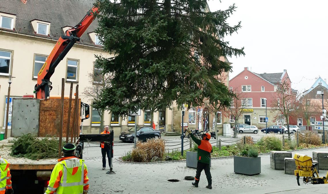 Wer spendet den nächsten Christbaum? Stattliches Exemplar: Weihnachtsbaum am Bahnhof. Foto: Archiv